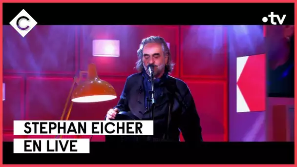 Stephan Eicher en live sur la scène de C à vous - 27/10/2022