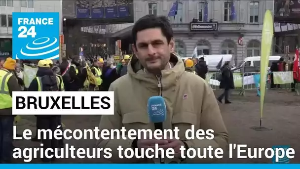 Bruxelles : les agriculteurs protestent contre la politique européenne • FRANCE 24