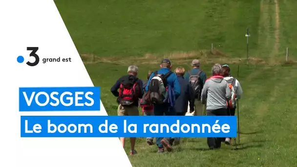 Vosges : le boom de la randonnée