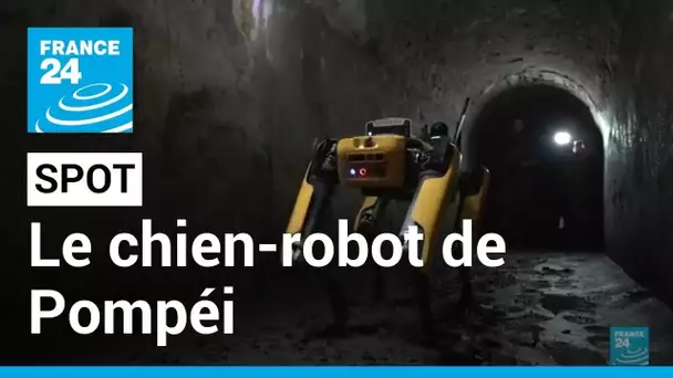 Italie: Spot, le chien-robot qui explore les ruines de Pompéi • FRANCE 24