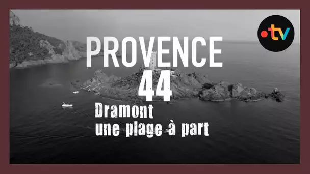 80 ans du débarquement en Provence : comment la plage de Dramont a sauvé les Américains