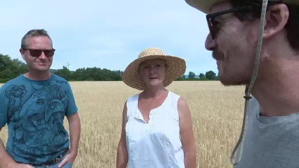 PrioriTerre dans le Luberon: Nature et Progrès, la bio associative et solidaire