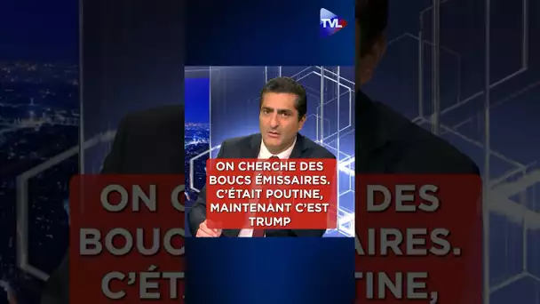 « On cherche des bouc-émissaires. C'était  #Poutine, maintenant c'est  #Trump puis le  #Mercosur