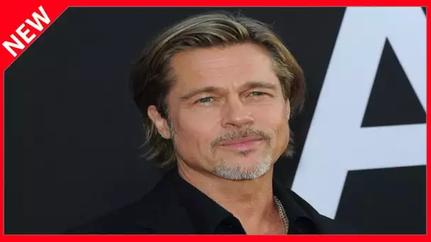 ✅  Jean Castex vs Brad Pitt : cette comparaison qui amuse la Toile