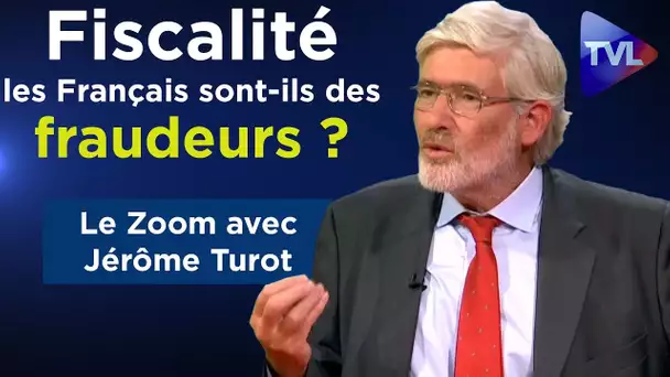 Fiscalité : les Français sont-ils des fraudeurs ? - Le Zoom - Jérôme Turot