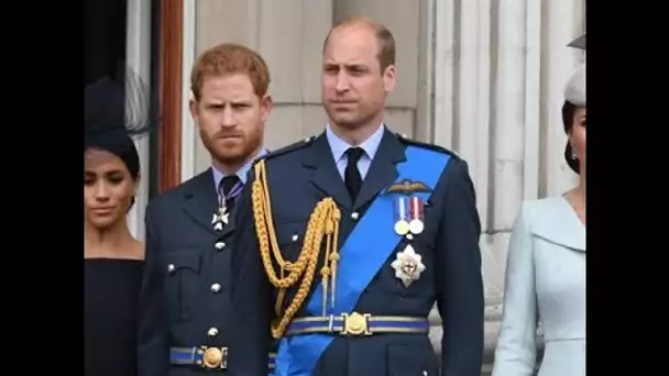 William assomme son frère Harry de reproches : pas touche à la famille !