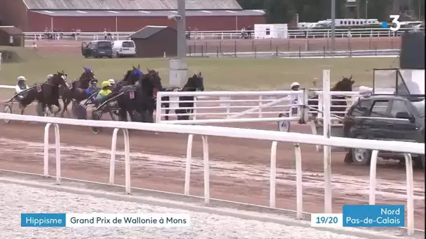 Découvrez le monde des courses hippiques lors du Grand Prix de Wallonie