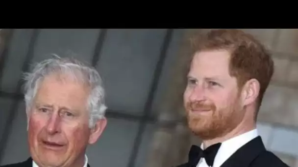 PHOTO Le prince Charles bientôt réconcilié avec son fils ? Ce cliché d'Harry qui...