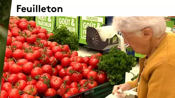 Dans les coulisses de la Tomate Gourmande dans l&#039;Indre #2