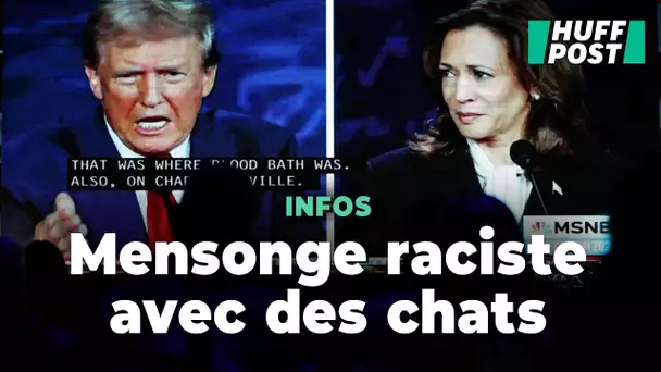 Donald Trump, face à Kamala Harris, s’approprie cette accusation raciste de son camp sur les chats