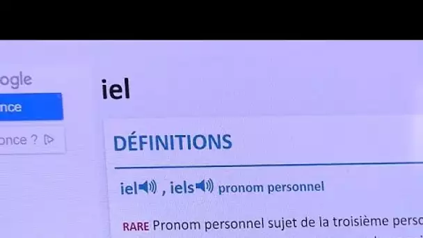 Le mot "iel" fait son entrée dans Le Robert, le célèbre dictionnaire justifie sa décision