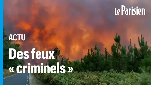 Incendies  en Gironde, Maine-et-Loire, « une part importante sont criminels »