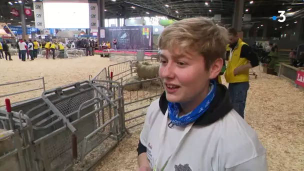 Salon de l'agriculture 2020 : Morgane, une jeune bergère franc-comtoise participe aux ovinipiades