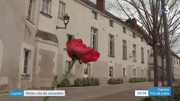 Luynes : obtient le label "Petite cite de caractère"