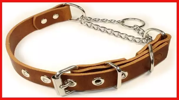 sleepy pup Adjustable Leather Martingale Chain, Limited Slip, Half-Check Chain, Training Dog Collar