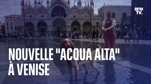 Italie: les images d'une nouvelle "acqua alta" à Venise