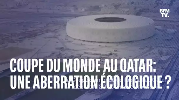 La Coupe du monde au Qatar est-elle une aberration écologique ?