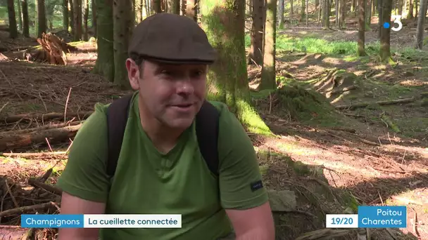 Dan, un youtubeur fou de champignons