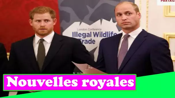 Le ressentiment entre William et Harry a «commencé à se dissiper», affirme l'auteur