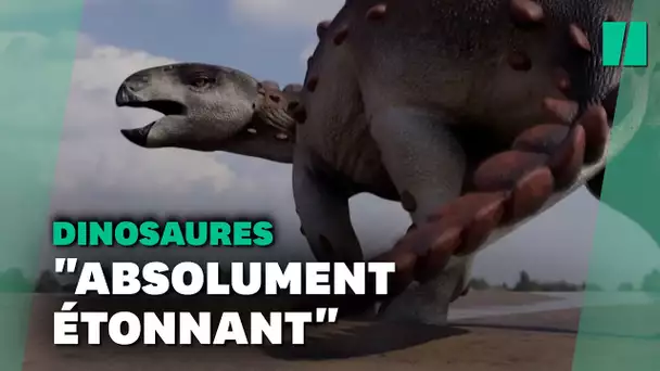 La queue de ce nouveau dinosaure est unique