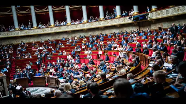 La majorité se déchire à l'Assemblée nationale autour de la réforme des retraites