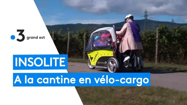 Haut-Rhin : à la cantine en vélo-cargo