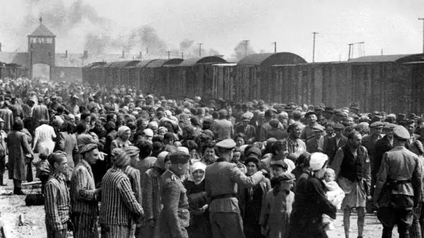 Auschwitz : «Cette histoire ne concerne pas que les Juifs, elle concerne l'humanité entière», ra