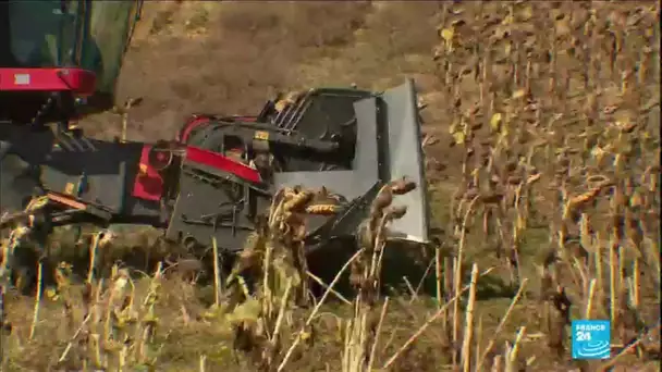 France : les conséquences de la sécheresse en Haute-Garonne