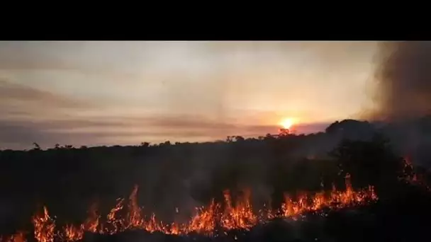 L'impact à grande échelle des feux en Amazonie