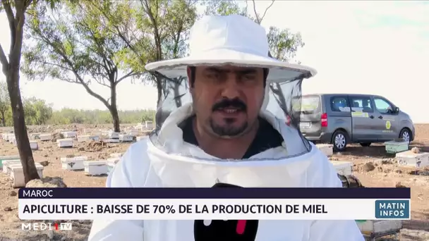 Apiculture : baisse de 70% de la production de miel