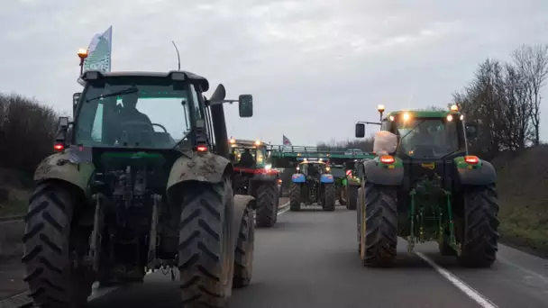 Crise agricole : certains exploitants attendent encore les aides européennes