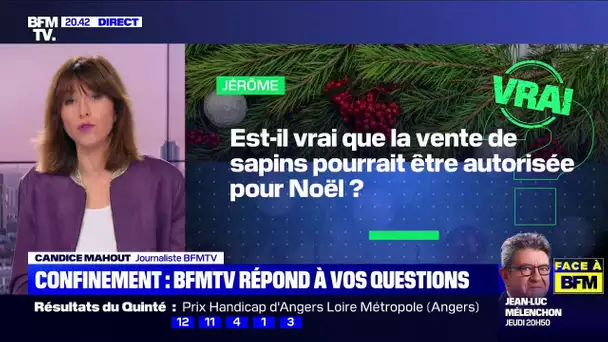 Est-il vrai que la vente de sapins sera autorisée pour Noël ? BFMTV répond à vos questions