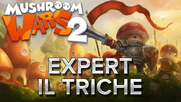 Mushroom Wars 2 #14 : Expert il triche