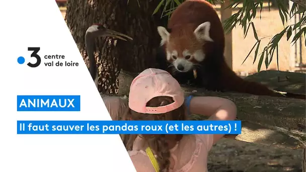 Opération sensibilisation sur les animaux à la réserve zoologique de la Haute-Touche dans l'Indre