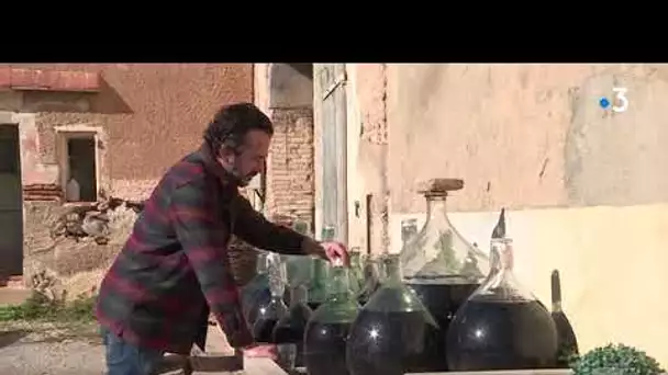 Aquí Sem : A Rivesaltes, portrait d'un vigneron au naturel