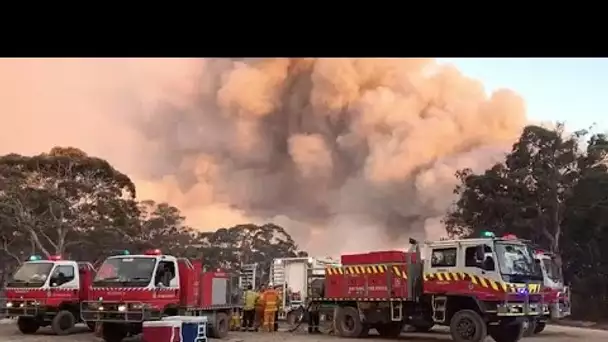 Canberra sous un épais nuage toxique, les incendies gagnent du terrain