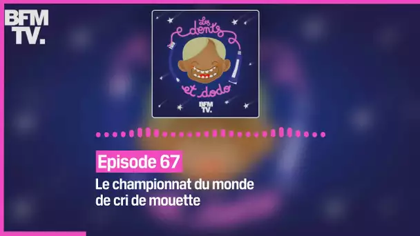 Episode 67 : Le championnat du monde de cri de mouette - Les dents et dodo