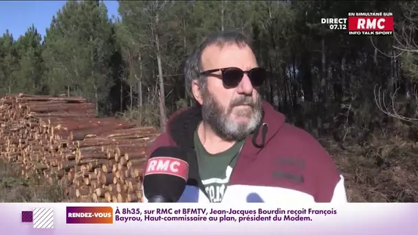 Près de Dax, on a rasé une forêt pour installer des panneaux solaires