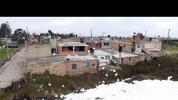 De la mousse contamine les rivières en Colombie