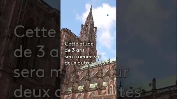 La cathédrale de Strasbourg face au changement climatique