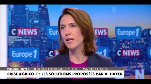 Valérie Hayer : «C'est en renforçant l'Europe qu'on renforcera la France»