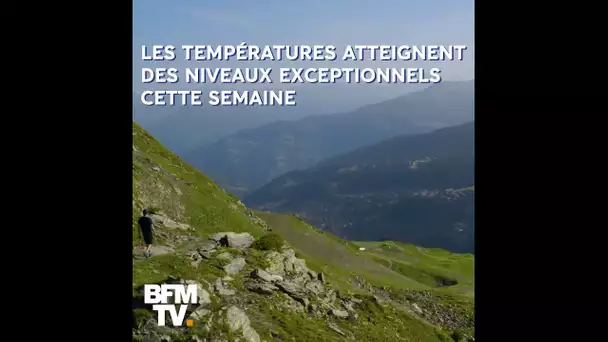 ⛰️☀️ En montagne aussi, la canicule sévit