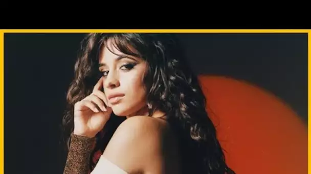 Camila Cabello accusée de racisme et de xénophobie: des preuves dévoilées !