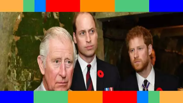 Le prince Charles  pourquoi est il incapable de réconcilier ses fils Harry et William