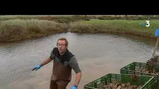 Naufrage du Grande America : les ostréiculteurs du bassin de Marennes-Oléron anticipent la pollution