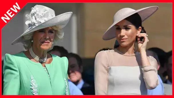 ✅  Meghan Markle moins populaire que Camilla Parker Bowles : ce sondage qui l'accable