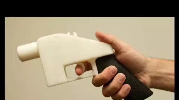 Etats-Unis : les armes imprimables en 3D temporairement interdites