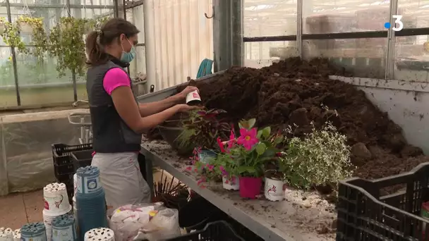 Horticulteurs : les grands perdants du confinement espèrent des aides