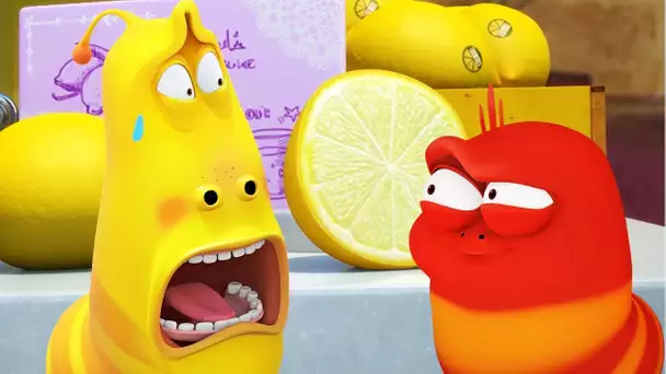 Citron aigre | LARVA | Dessins animés pour enfants | WildBrain pour les enfants