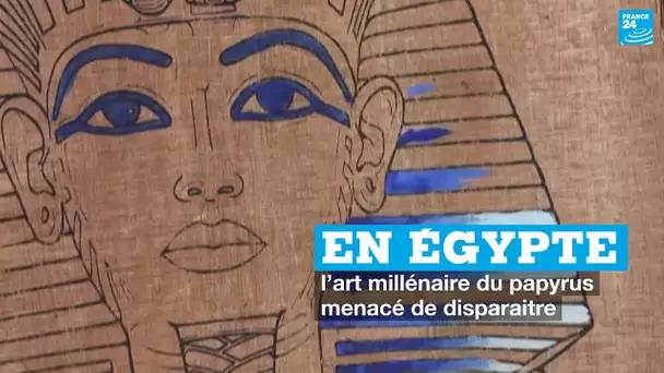 En Égypte, l’art millénaire du papyrus menacé de disparaitre • FRANCE 24